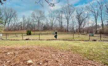 Dog park